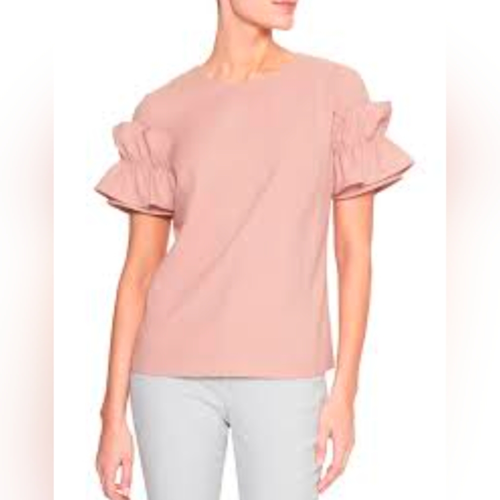 Banana Republic Ruffle Sleeve Top Clay Pink Petite Small 🎉Host Pick🎉